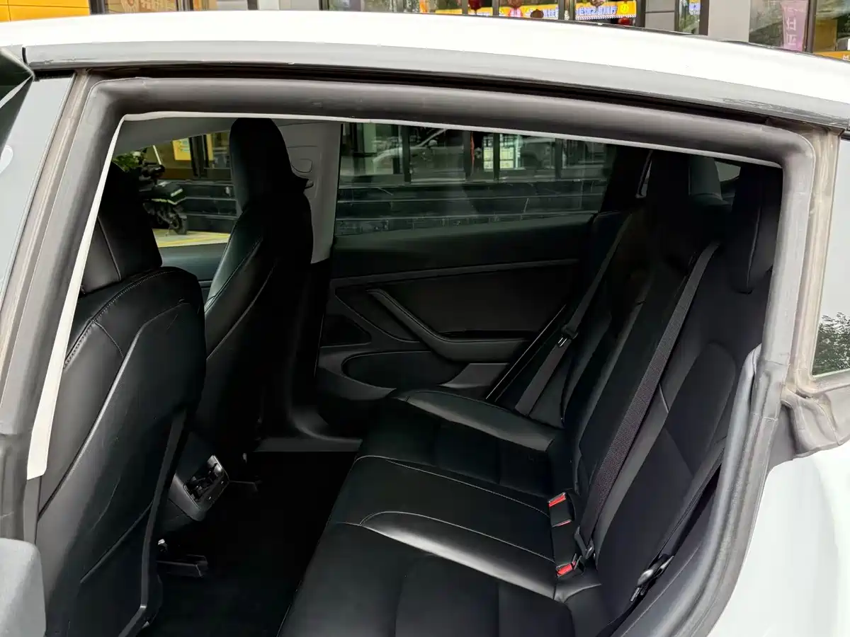 Tesla Model 3 (Import) 2019 2019 Long Range RWD Version
