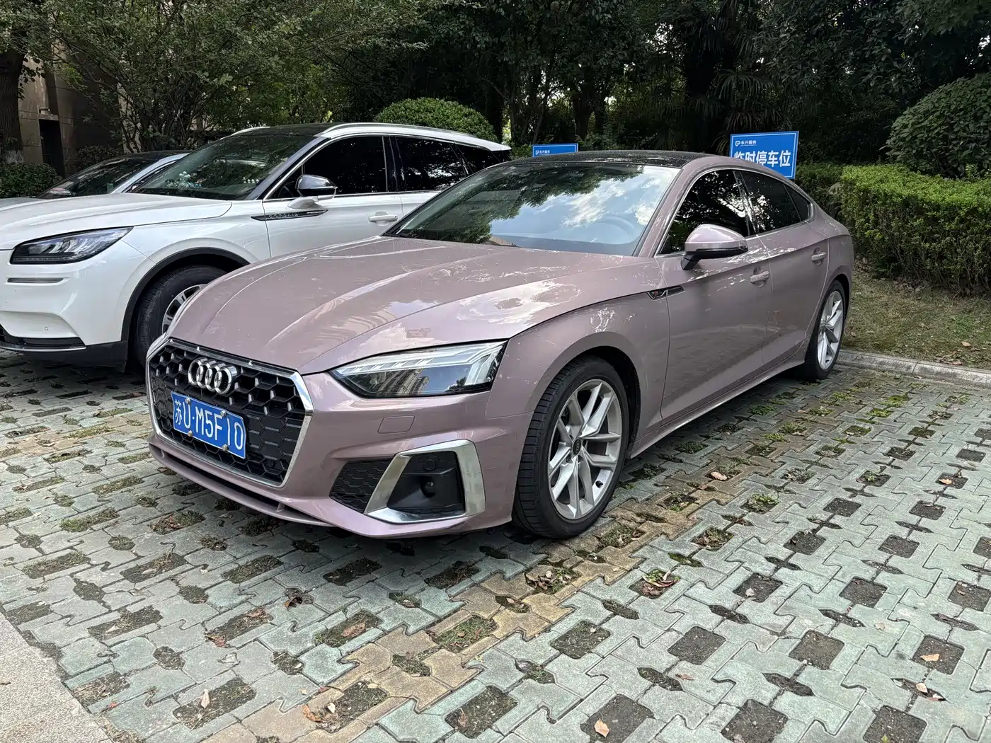 Audi A5 (Import) 2024 2023 Sportback 40 TFSI quattro Luxury Dynamic