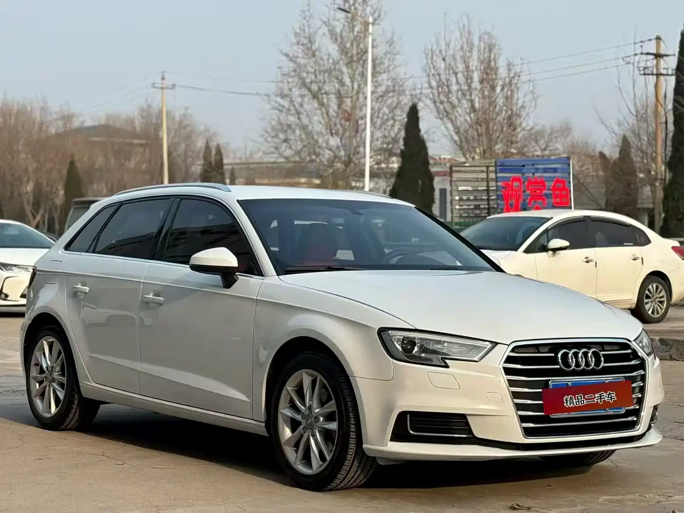 Audi A3 2018 30th Anniversary Sportback 35 TFSI Progressive фото 3