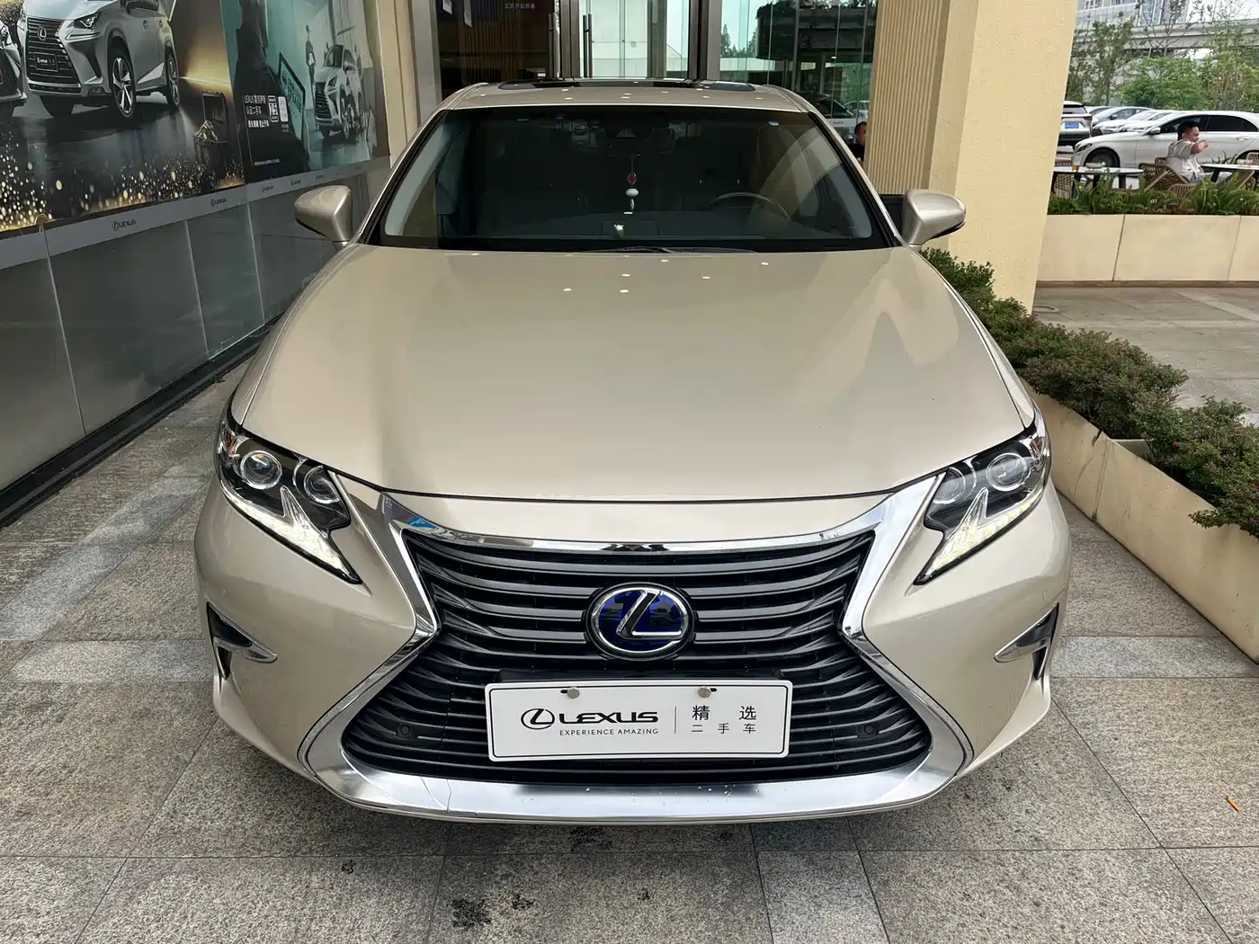 Lexus ES 2015 300h Luxury Edition фото 2