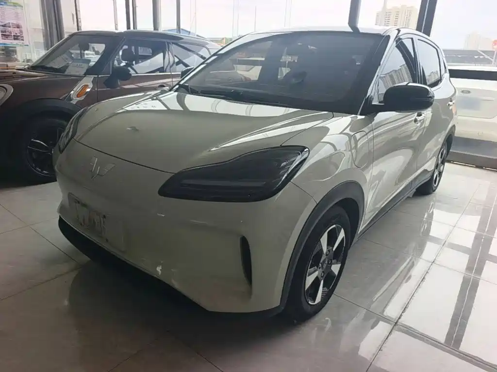 Wuling Motors Wuling Binguo PLUS 2025 2024 Model 330km 5-Seater