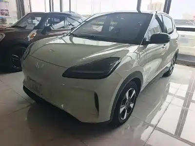 Wuling Bingo Plus