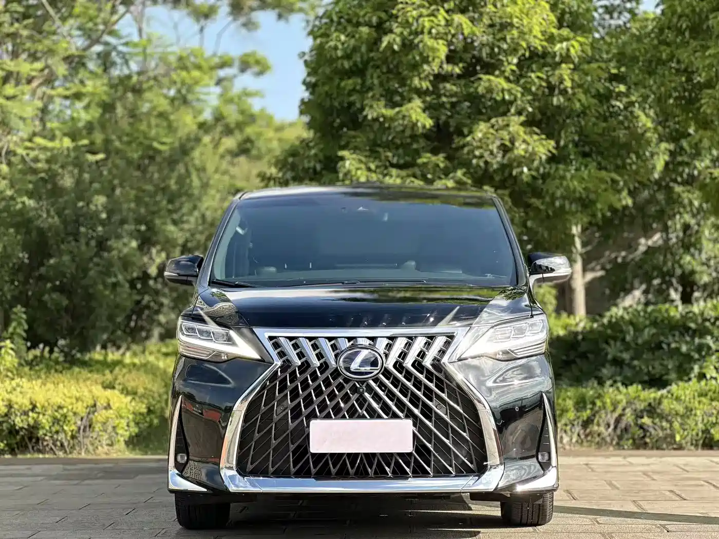 Lexus LM 2020 300h 4-Seat Imperial Edition фото 2