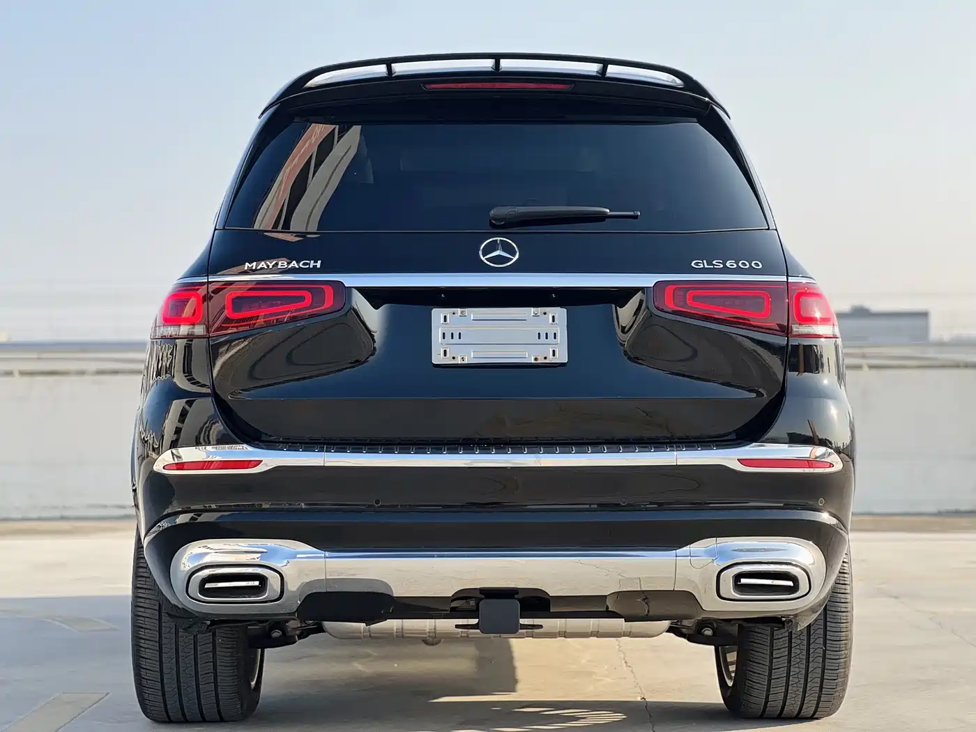 Mercedes-Benz GLS 2023 GLS 450 4MATIC Luxury Edition фото 12