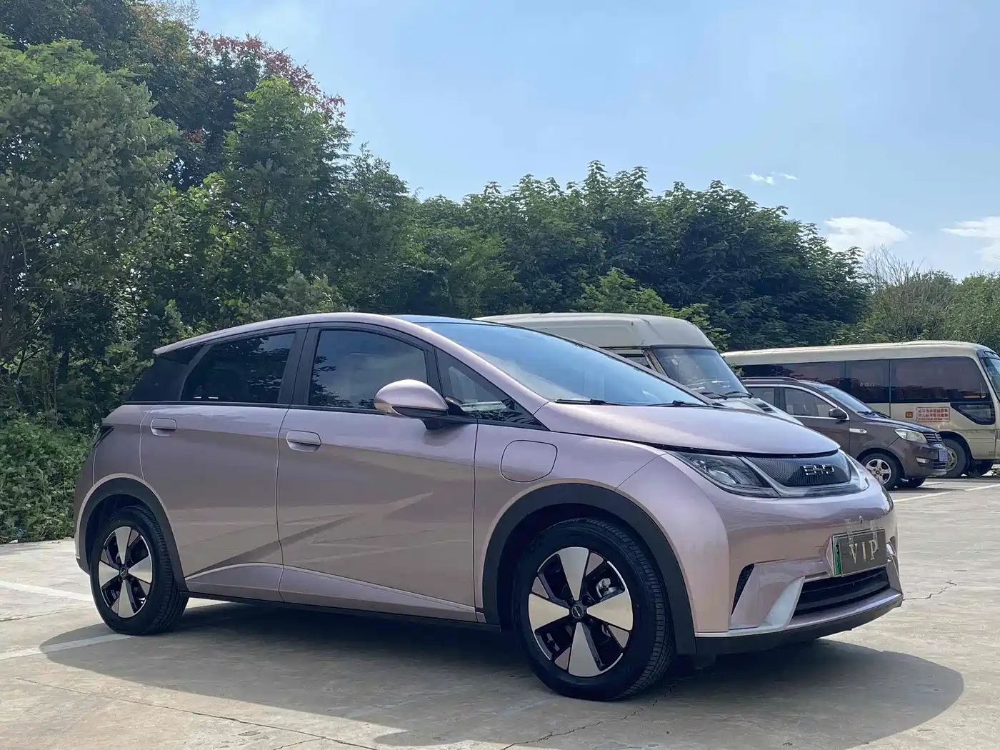 BYD Dolphin 2023 420km Fashion Edition фото 3