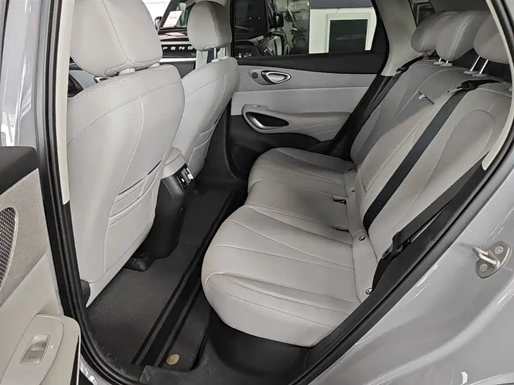BYD Hai Shi 05 EV 2025 520KM Smart Navigation Edition фото 17