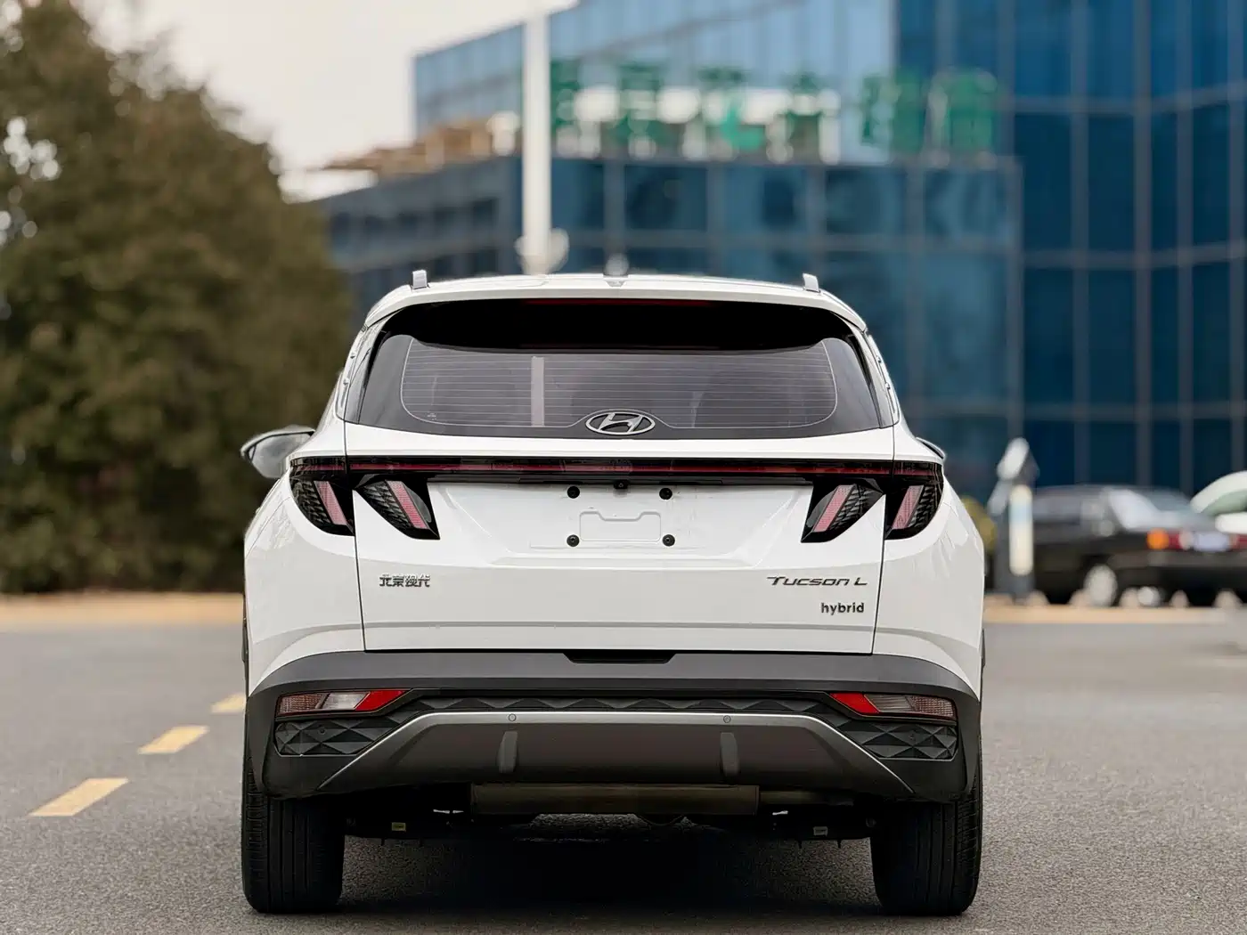 Hyundai Tucson 2022 Tucson L 2.0L Hybrid Premium Edition фото 4