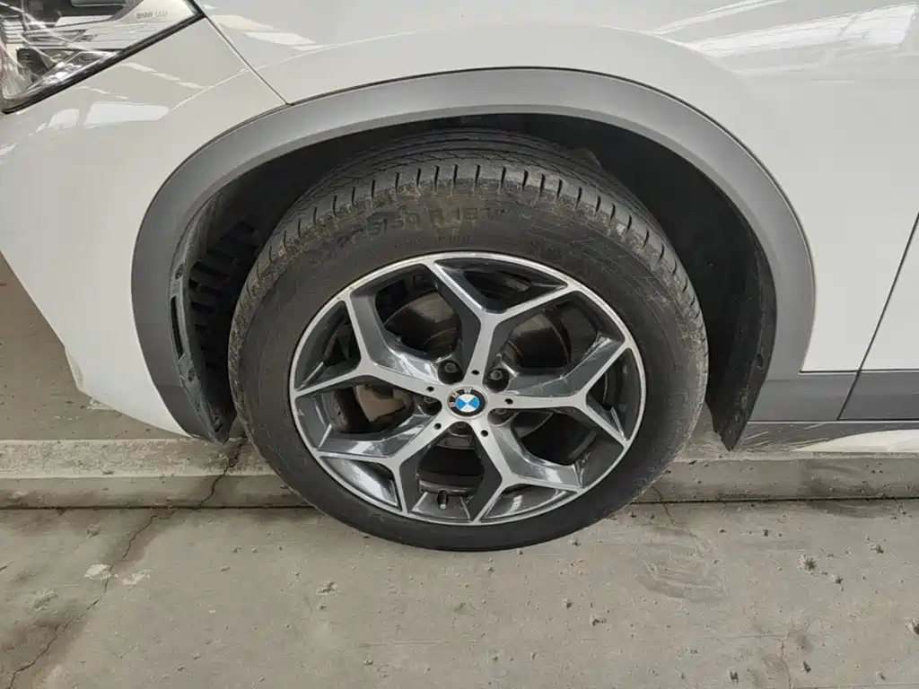BMW X2 (Import) 2019 2019 sDrive20i M Off-Road Package China VI
