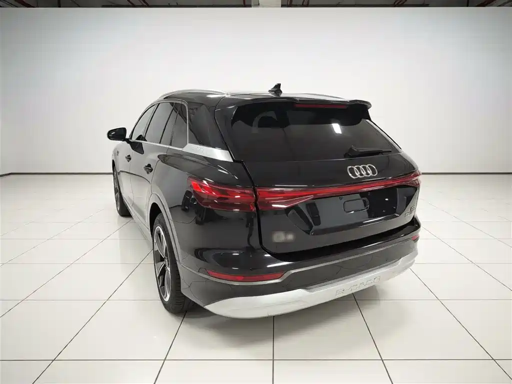 Audi Q5 e-tron 2022 40 e-tron Starlight Edition Brocade Package фото 5