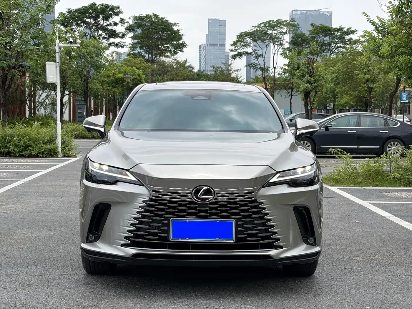 Lexus RX 2025 300 4WD Premium Edition
