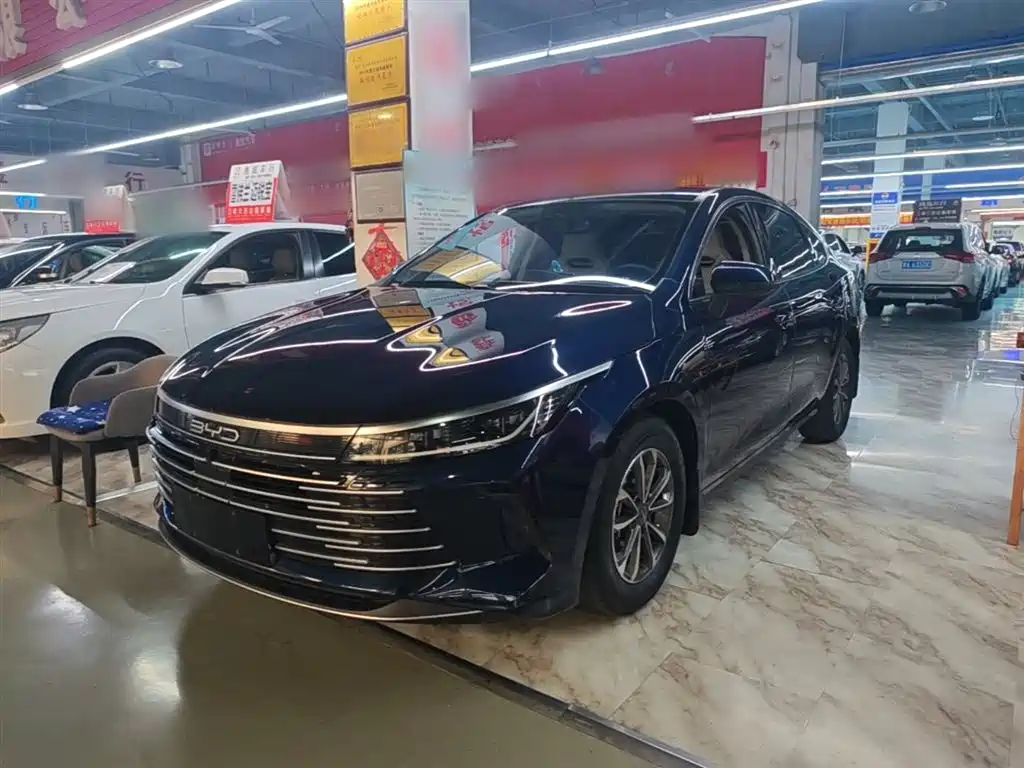 BYD Destroyer 05 2024 Glory Edition DM-i 55KM Luxury
