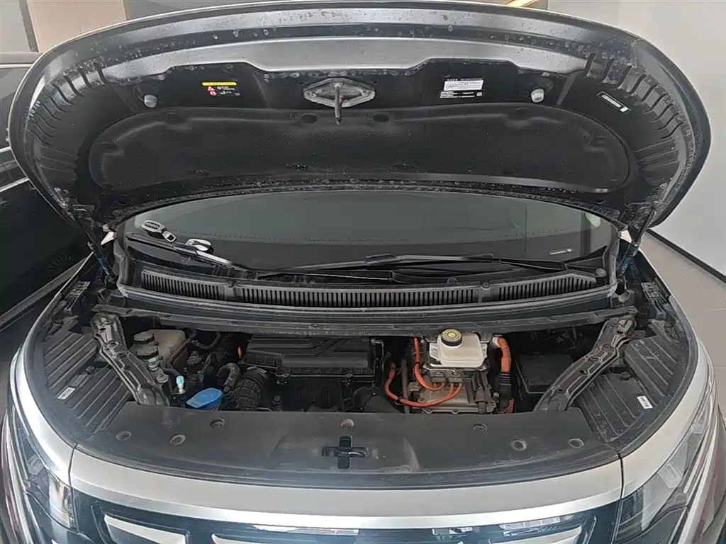 Denza D9 2024 DM-i 980 AWD Prestige фото 20