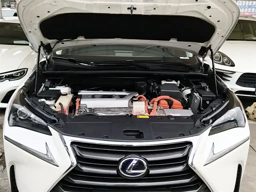Lexus NX 2015 300h FWD Luxury фото 16