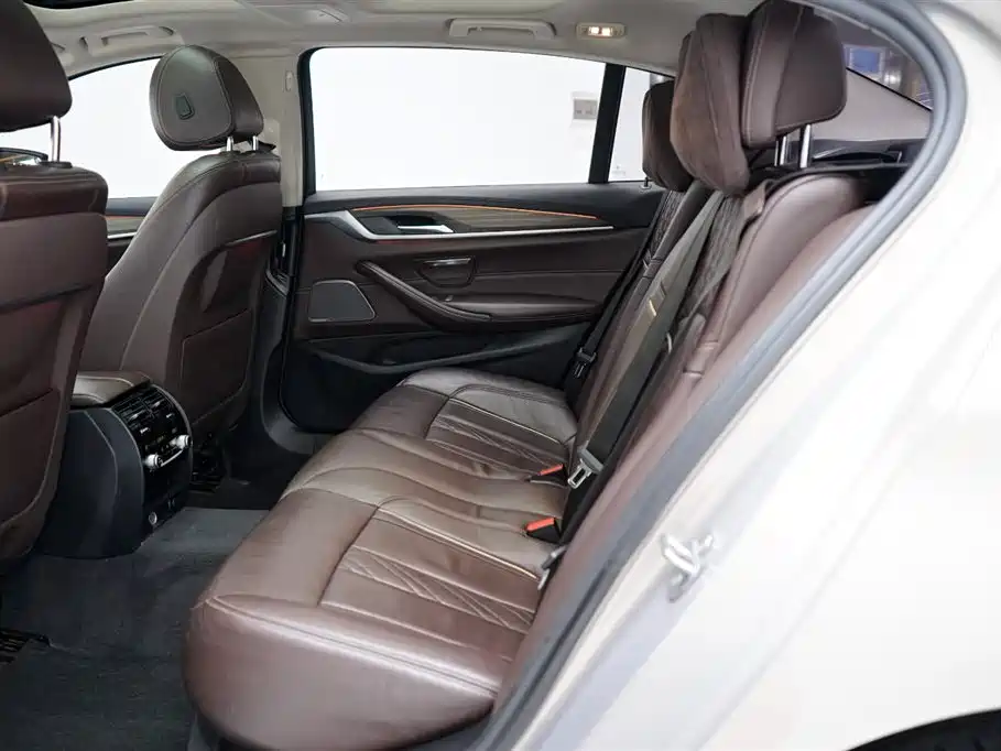 BMW 5 Series 2019 Facelift 530Li Premium Luxury Package фото 6