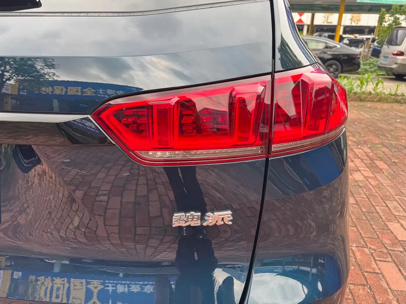 WEI PAI WEI BRAND VV7