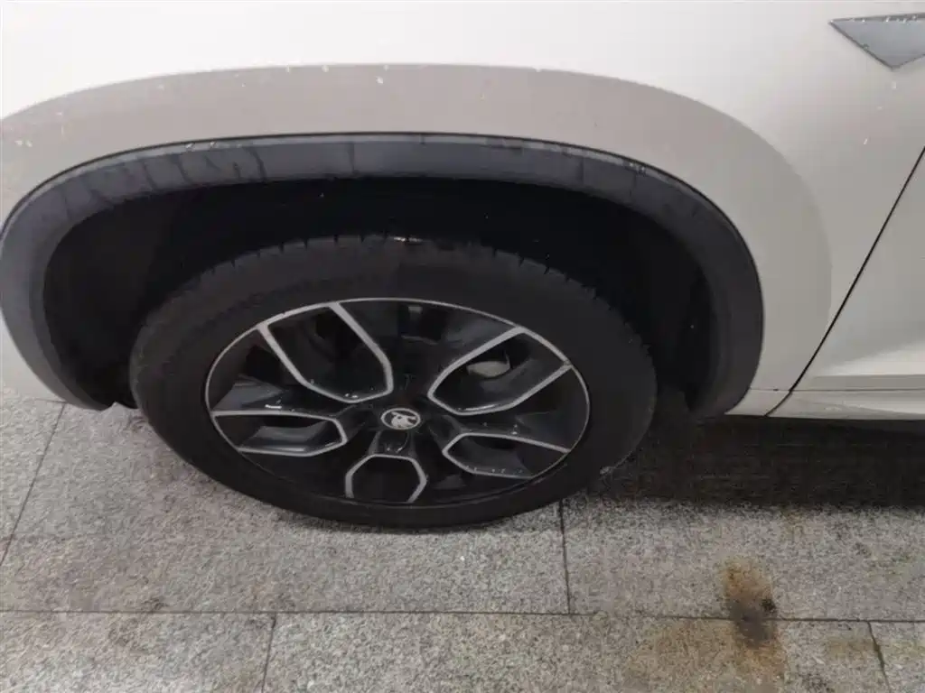 Škoda Kodiaq GT 2019 TSI330 2WD Luxury Edition China VI фото 23