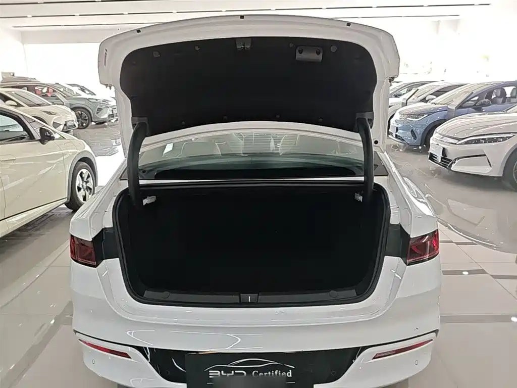 BYD Qin PLUS 2023 EV 510KM Travel Edition фото 15