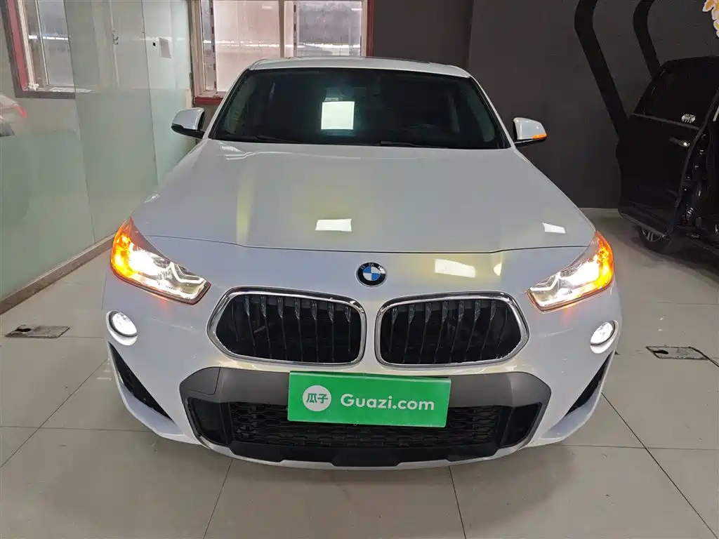 BMW X2 (Import) 2019 sDrive20i M Off-Road Package China VI фото 3