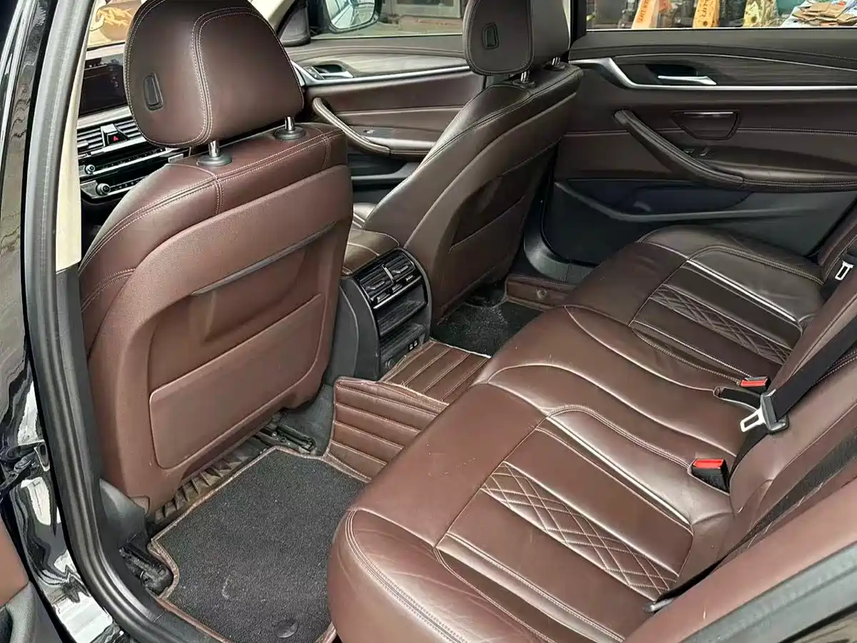 BMW 5 Series 2020 530Li Leading Luxury Package фото 9