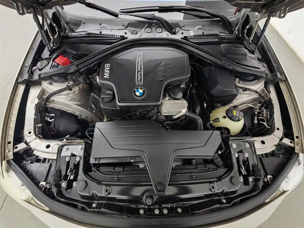 BMW 3 Series 2016 320Li Progressive фото 6