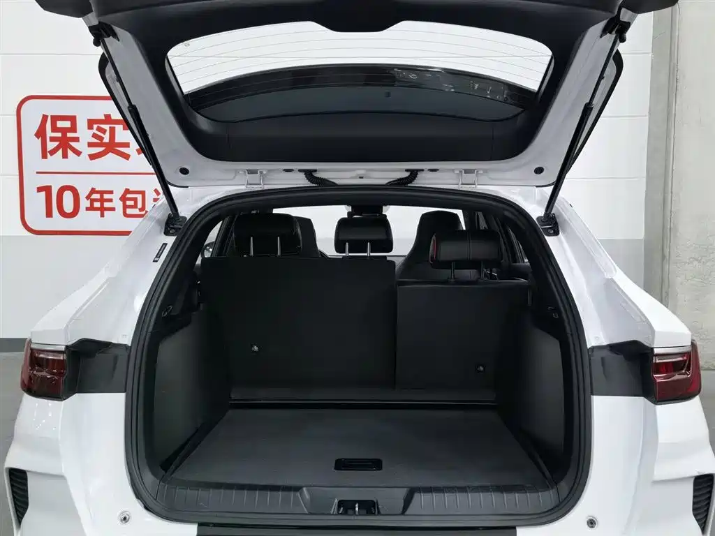 BYD Song PLUS 2020 1.5T Automatic Luxury фото 16