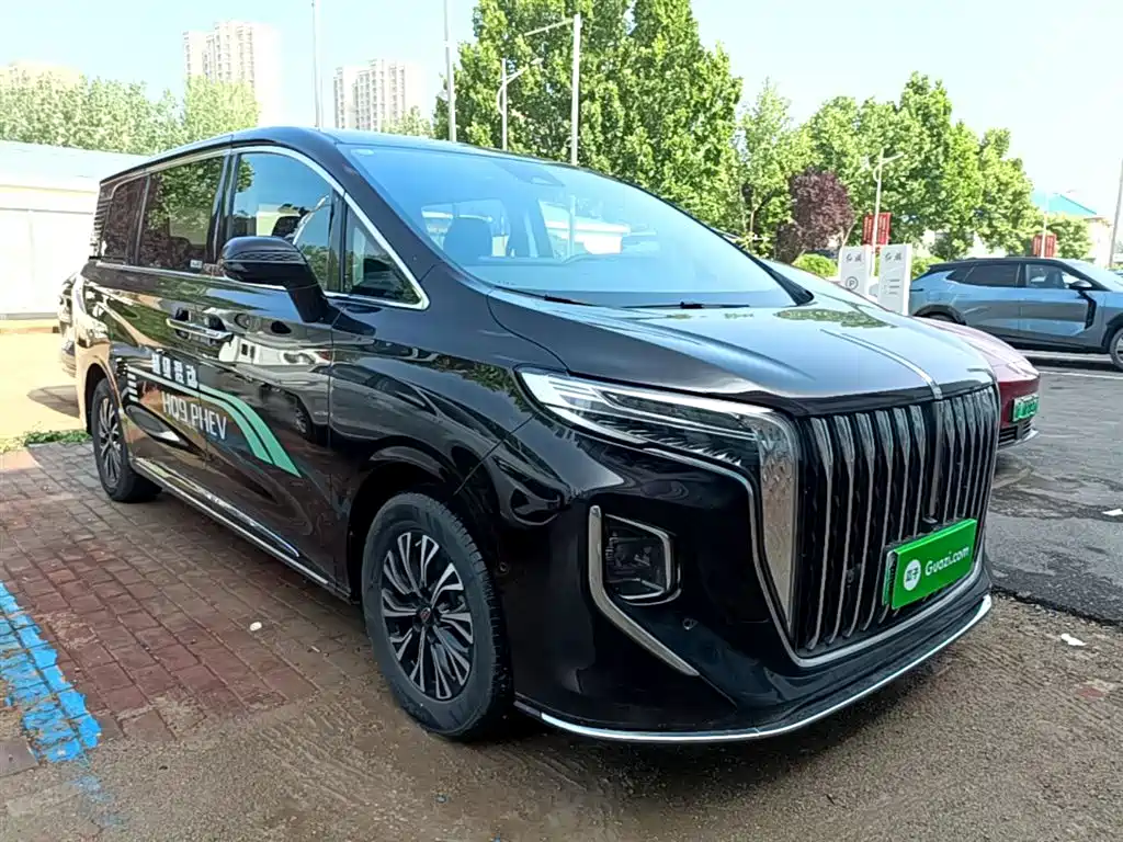 Hongqi HQ9 PHEV 2024 Model 2.0T AWD Luxury Edition фото 4