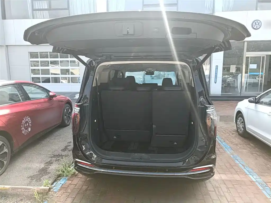Hongqi HQ9 PHEV 2024 Model 2.0T AWD Luxury Edition фото 19