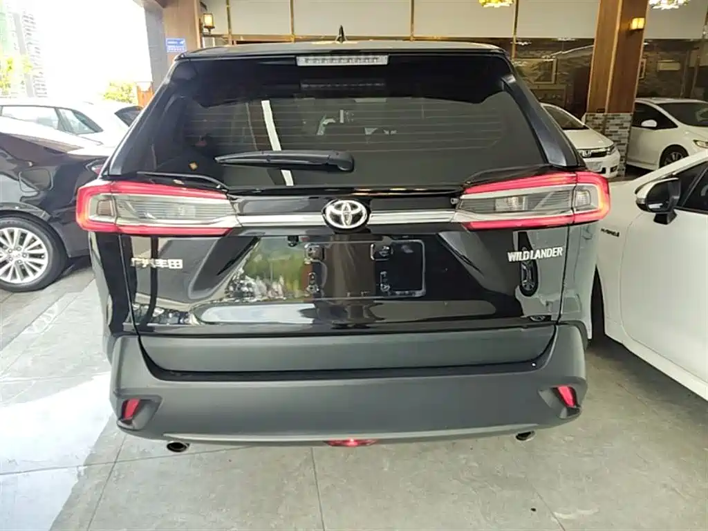 Toyota Wildlander 2023 2.0L CVT FWD LE фото 6