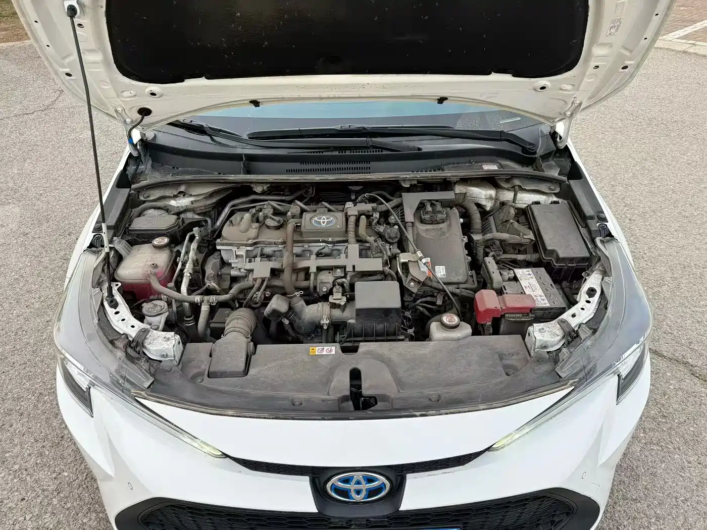 Toyota Levin 2022 Dual Engine 1.8H E-CVT Progressive Edition фото 9