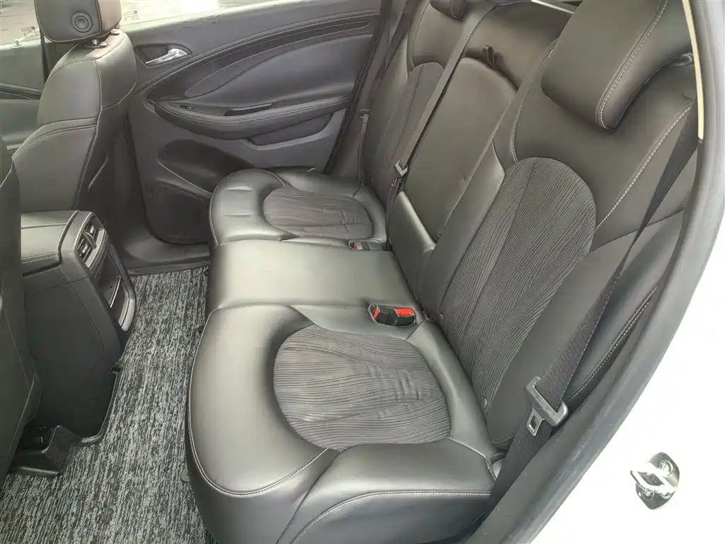 Buick Envision Plus 2017 20T FWD Premium фото 22