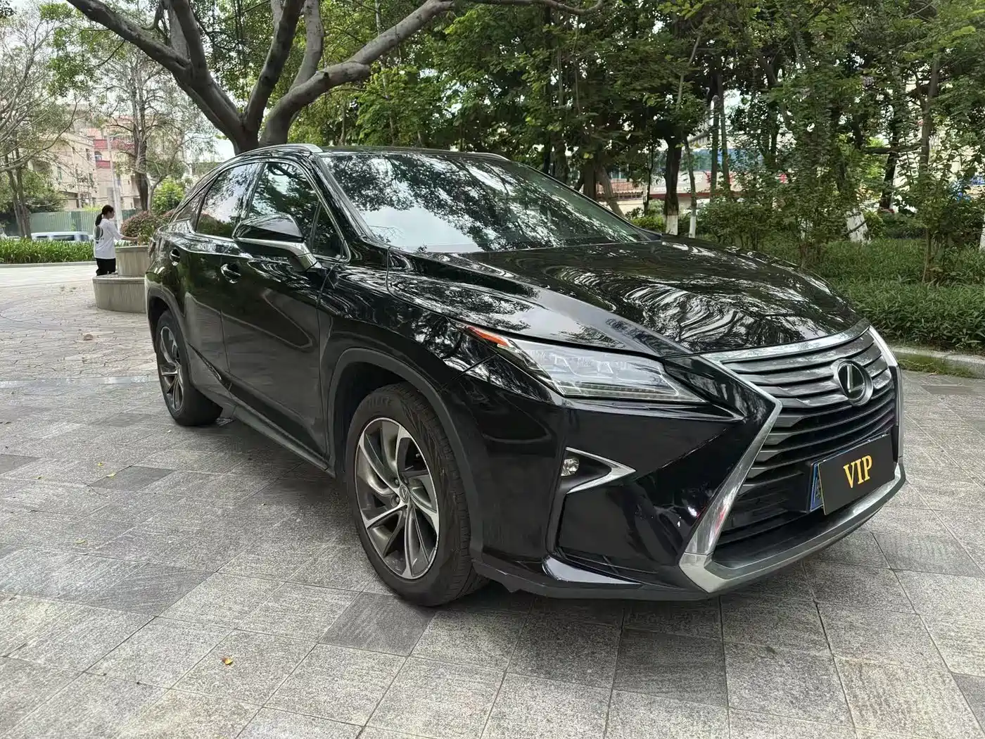Lexus RX 2016 2016 300 4WD Elegance Edition (China V)