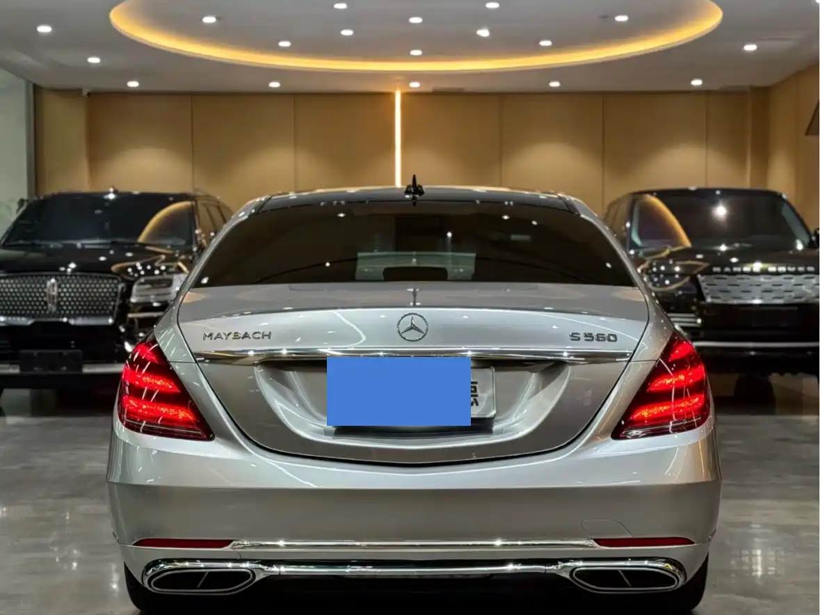 Mercedes-Benz Maybach S-Class 2020 S 450 4MATIC Collector's Edition фото 9
