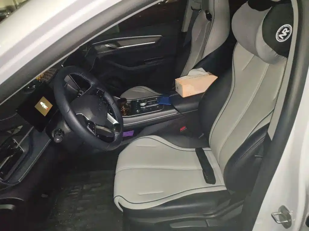 BYD Destroyer 05 2025 2024 Glory Edition DM-i 55KM Luxury