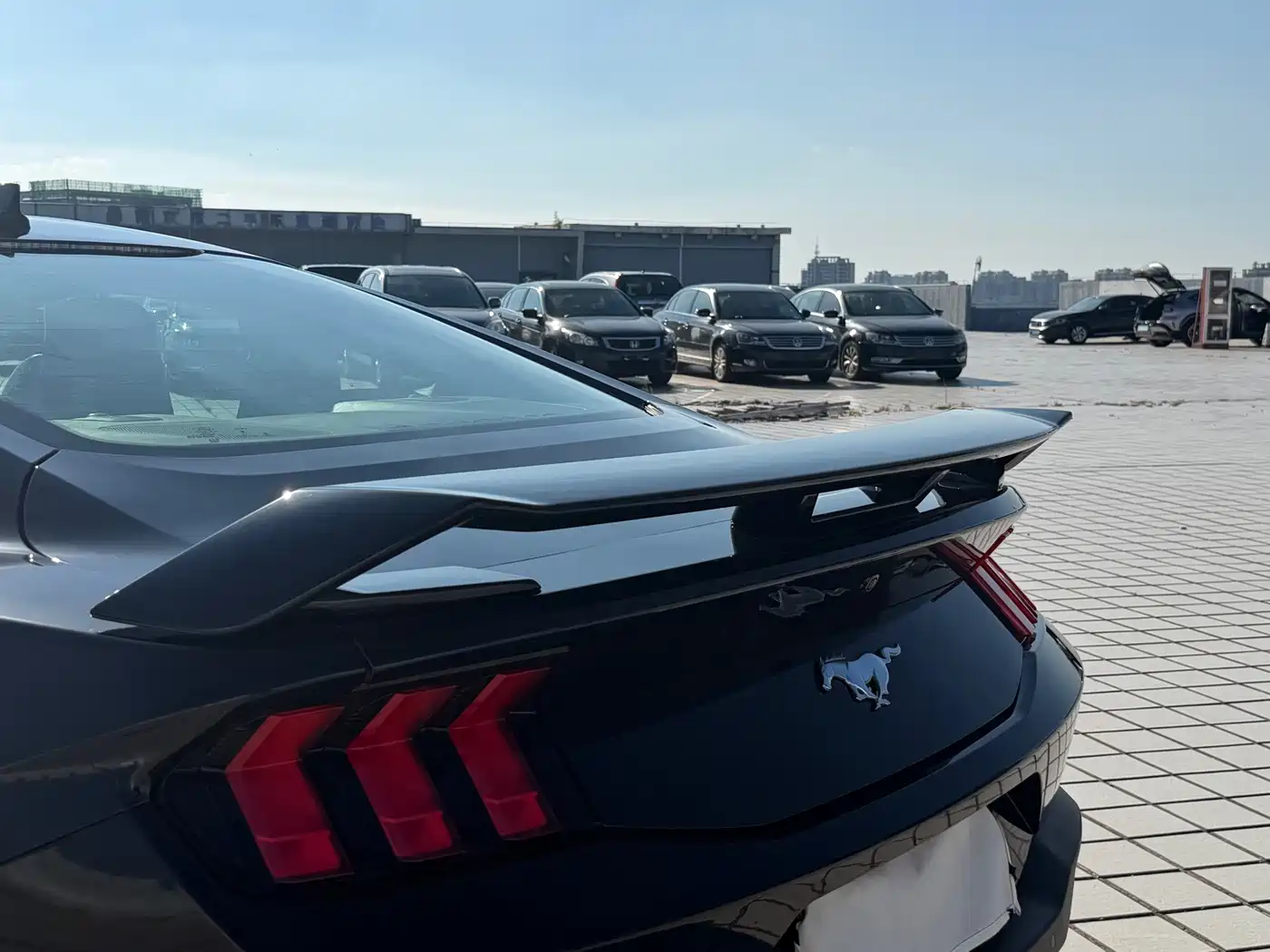 Ford Mustang, миниатюра 12