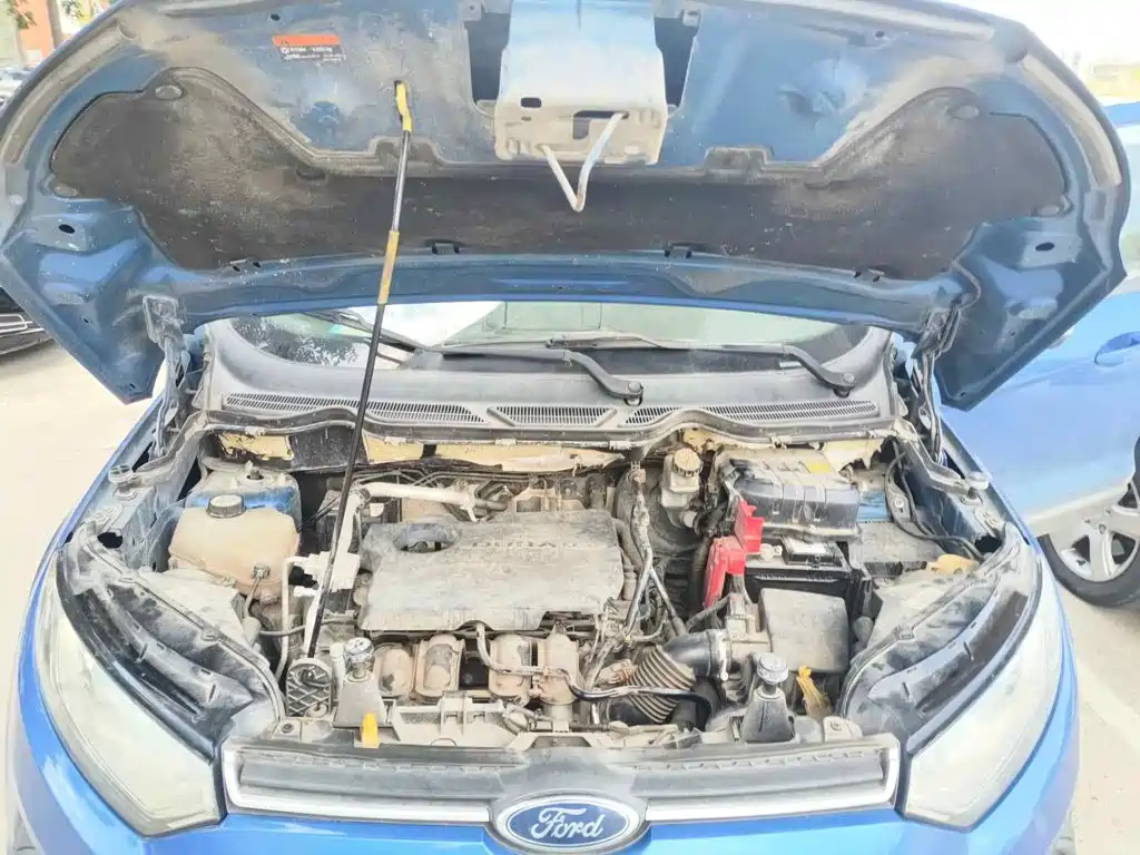 Ford EcoSport 2013 2013 1.5L Manual Style