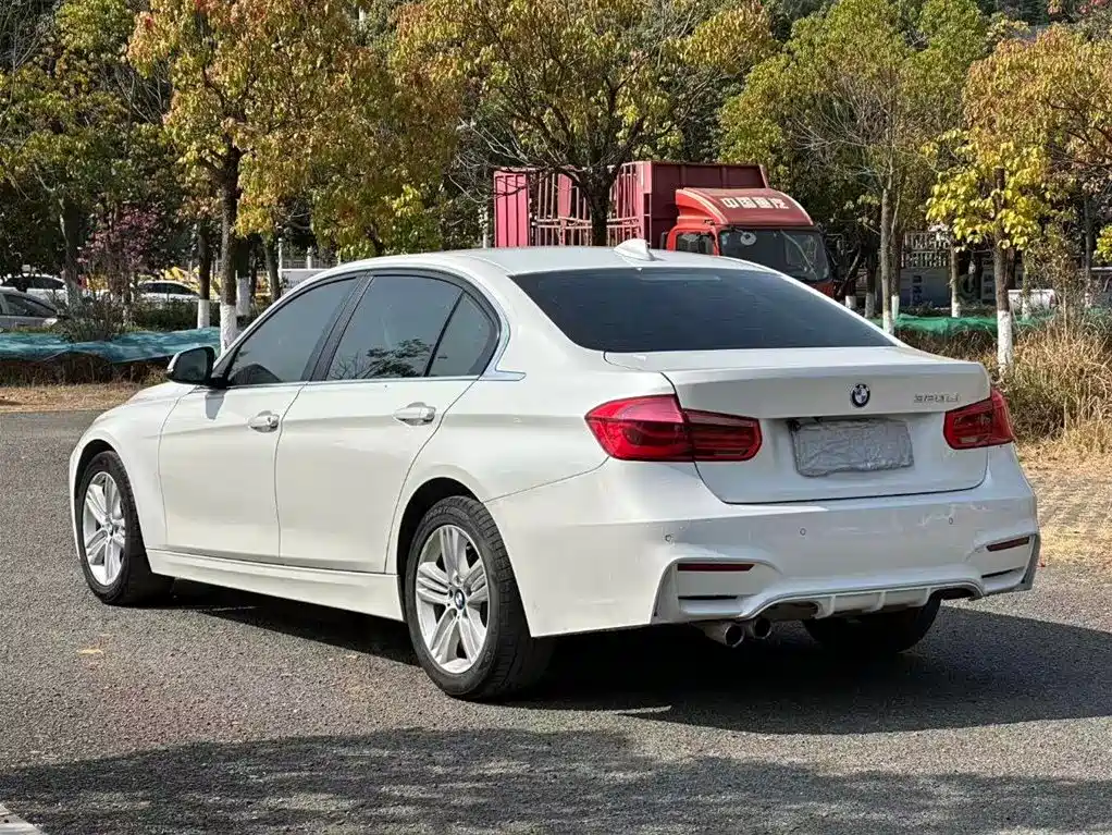 BMW 3 Series 2017 320Li Luxury Design Package фото 9