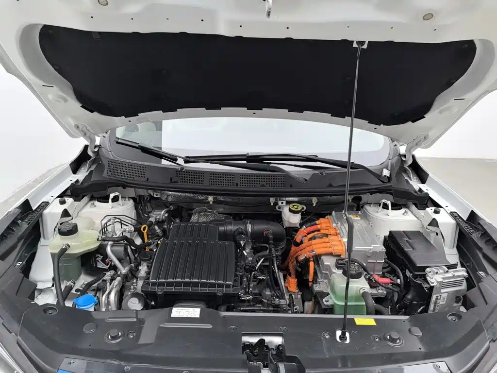 Haima 6P 2020 2021 1.2T PHEV Long Range Luxury