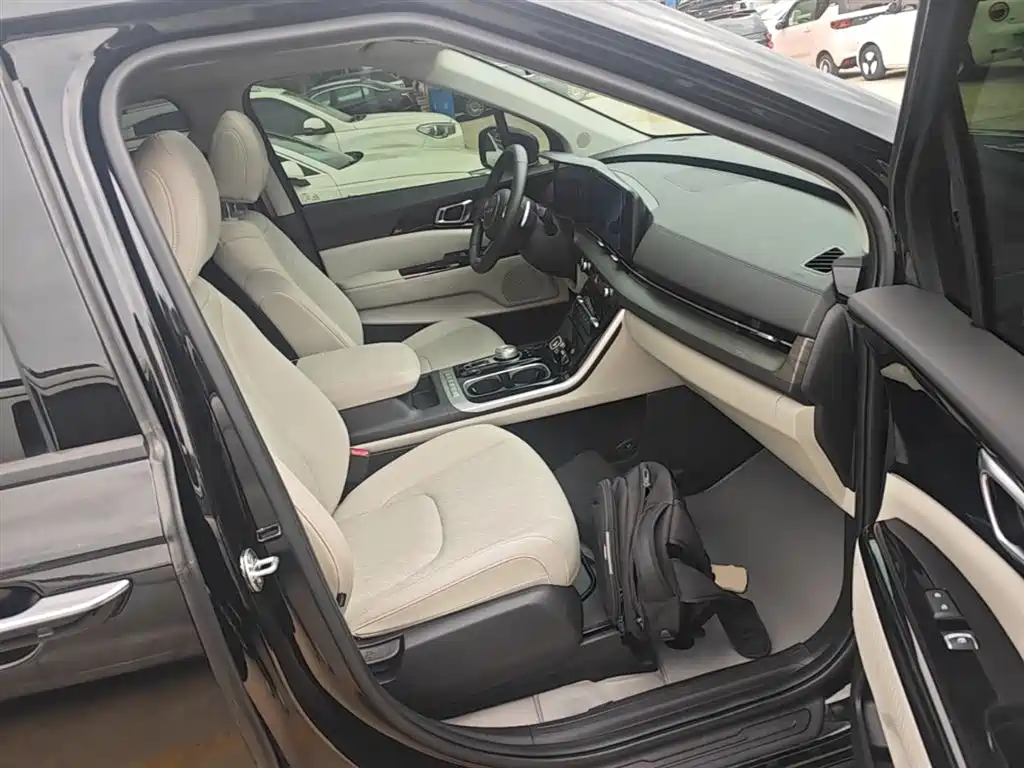 Kia Carnival 2021 2.0T Luxury Edition фото 25