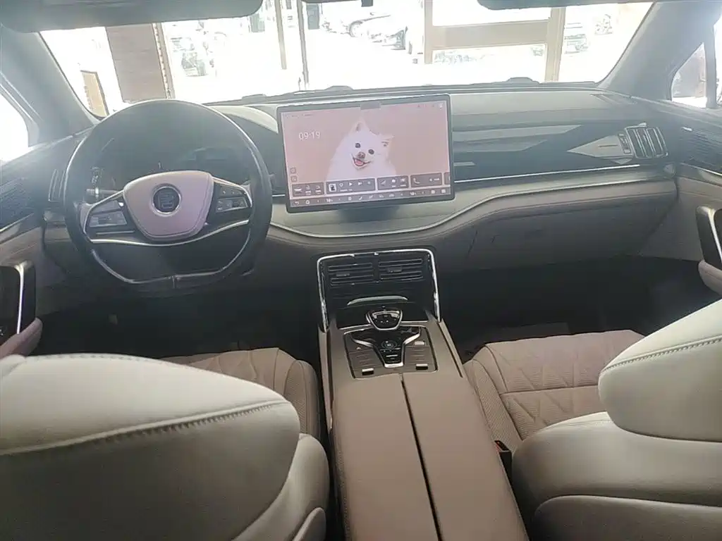 BYD Tang New Energy 2024 DM-i Honor Edition 112KM Premium фото 10