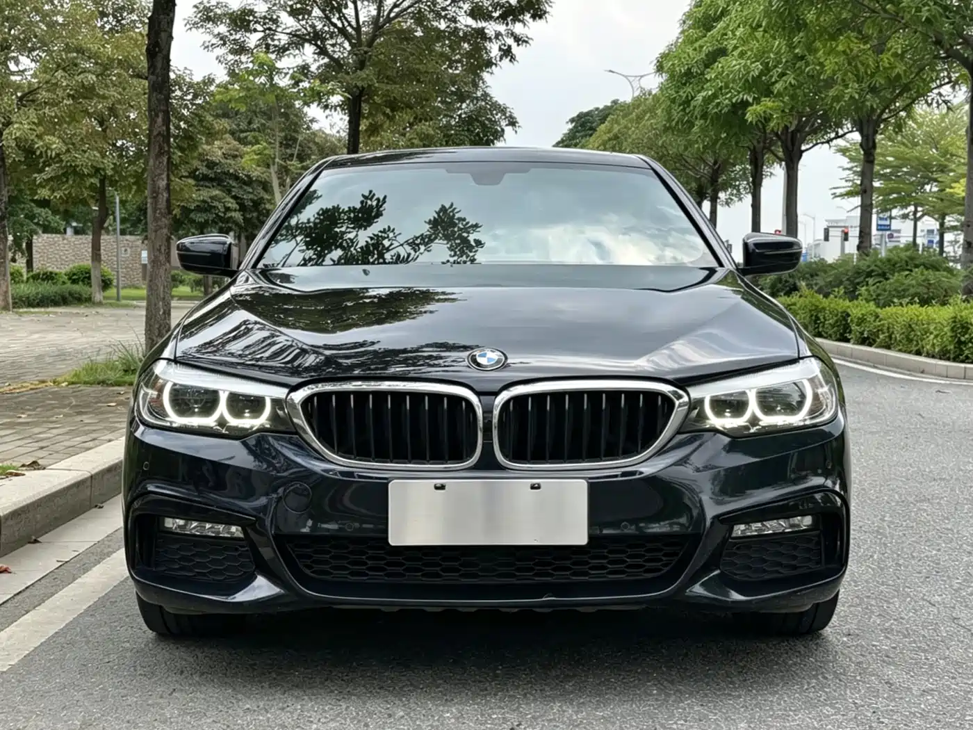 BMW 5 Series 2018 530Li Leading M Sport Package фото 2