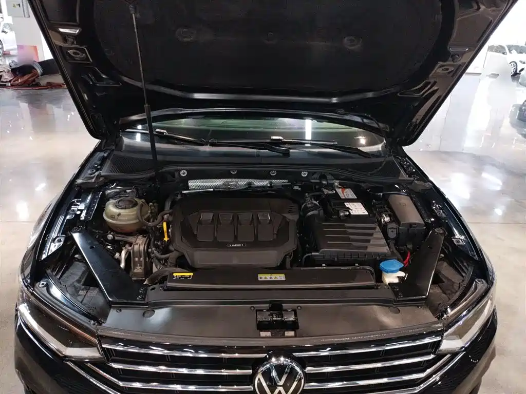 Volkswagen Magotan 2020 330TSI DSG Leading фото 19