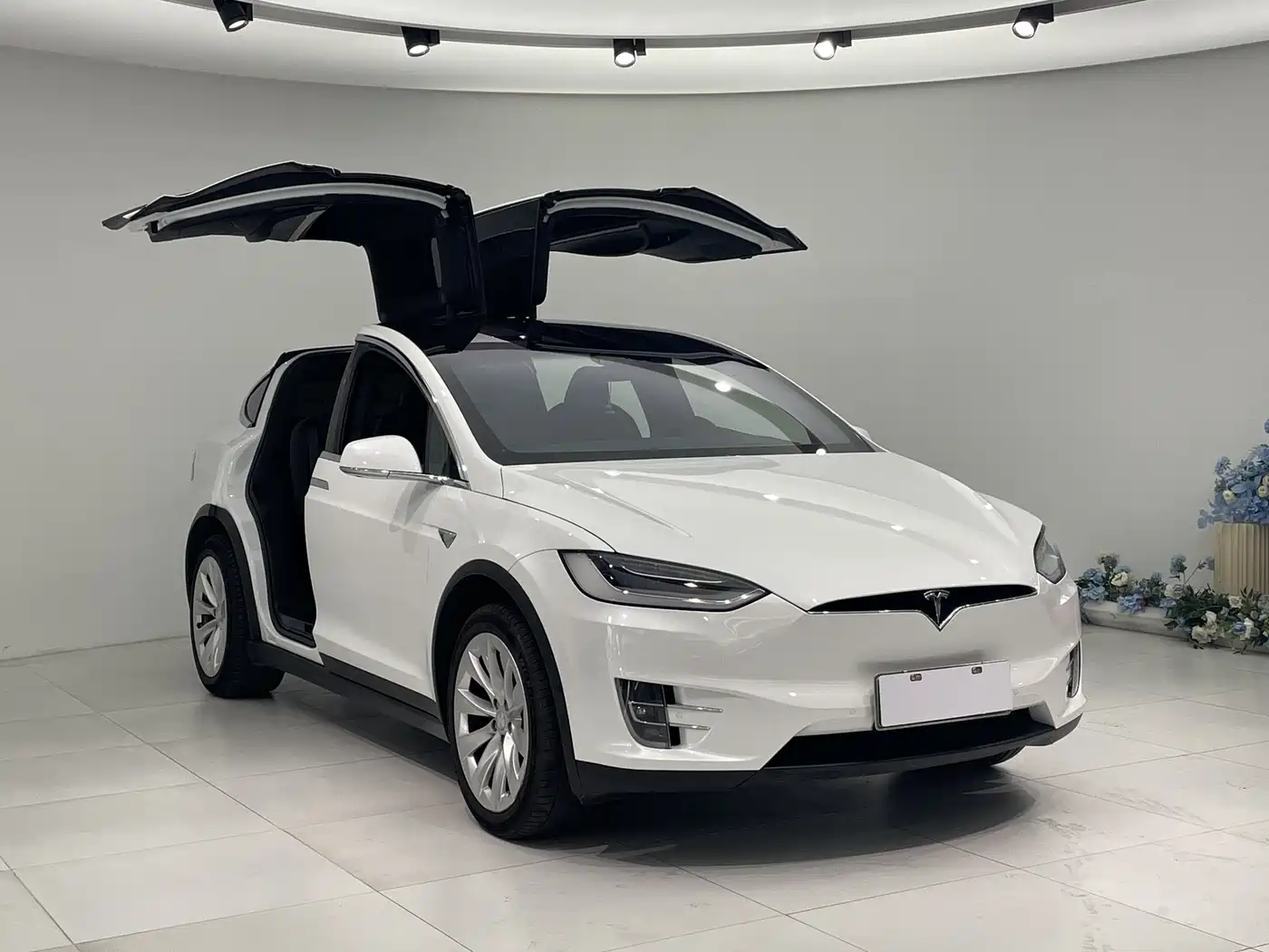 TESLA MODEL X