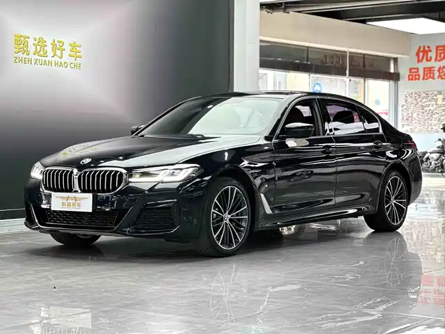 BMW 5 SERIES