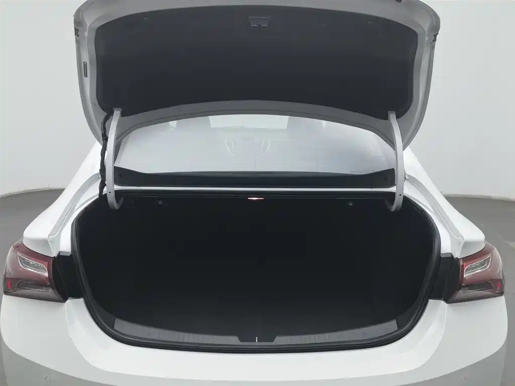 CHEVROLET MAI RUIBAO XL