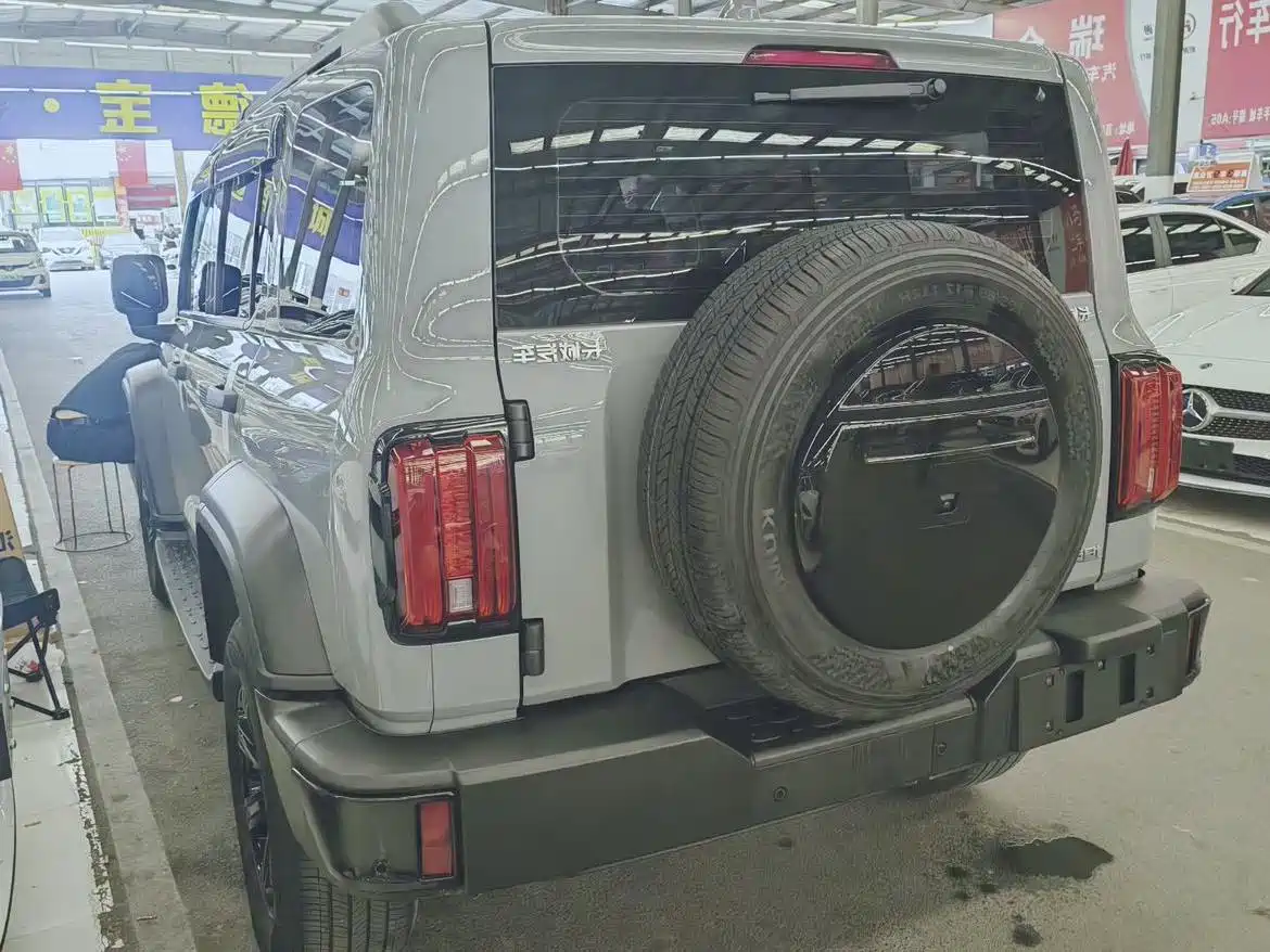 Tank 300 2023 Off-Road Edition 2.0T Conqueror фото 12