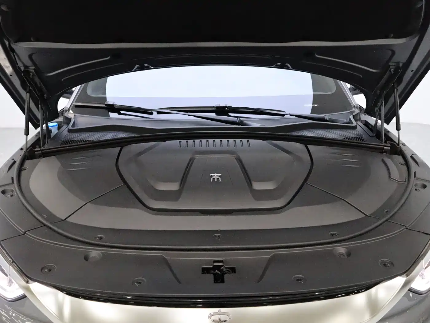 BYD Song PLUS PHEV 2021 EV Premium Model фото 21