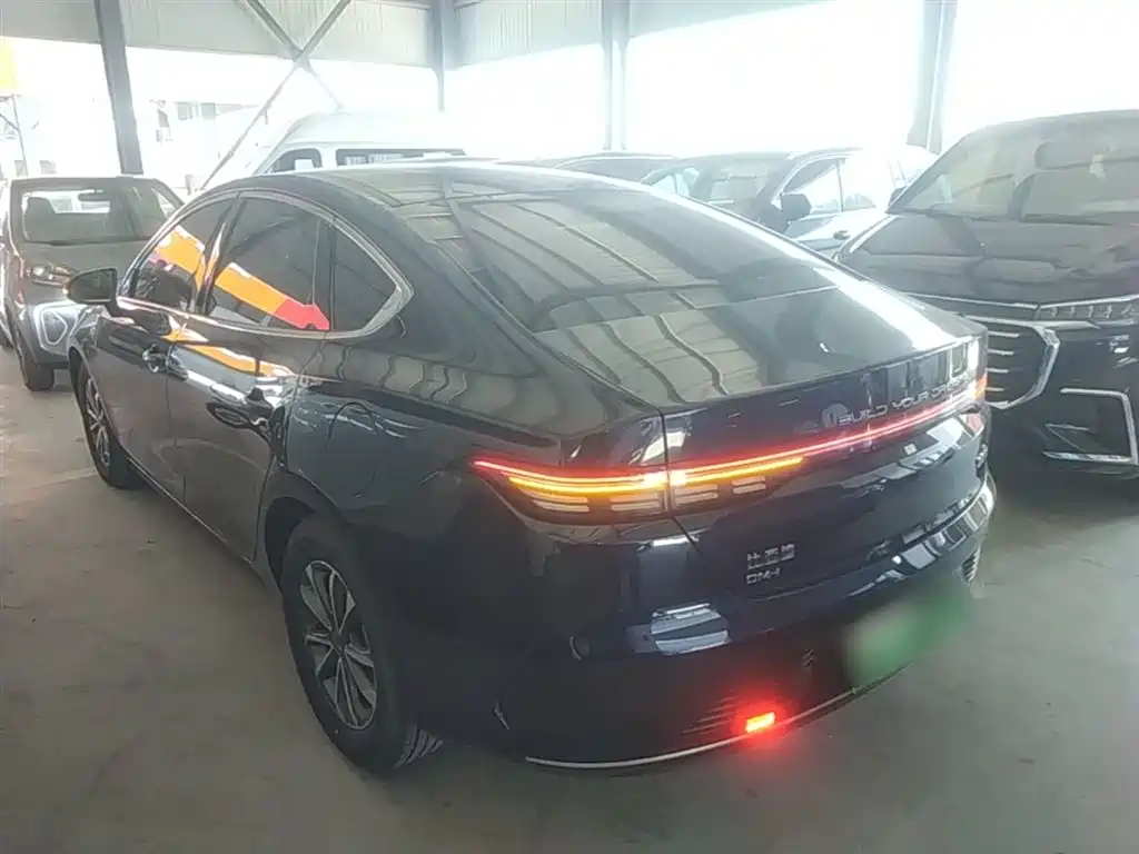 BYD Destroyer 05 2024 Glory Edition DM-i 55KM Luxury фото 5
