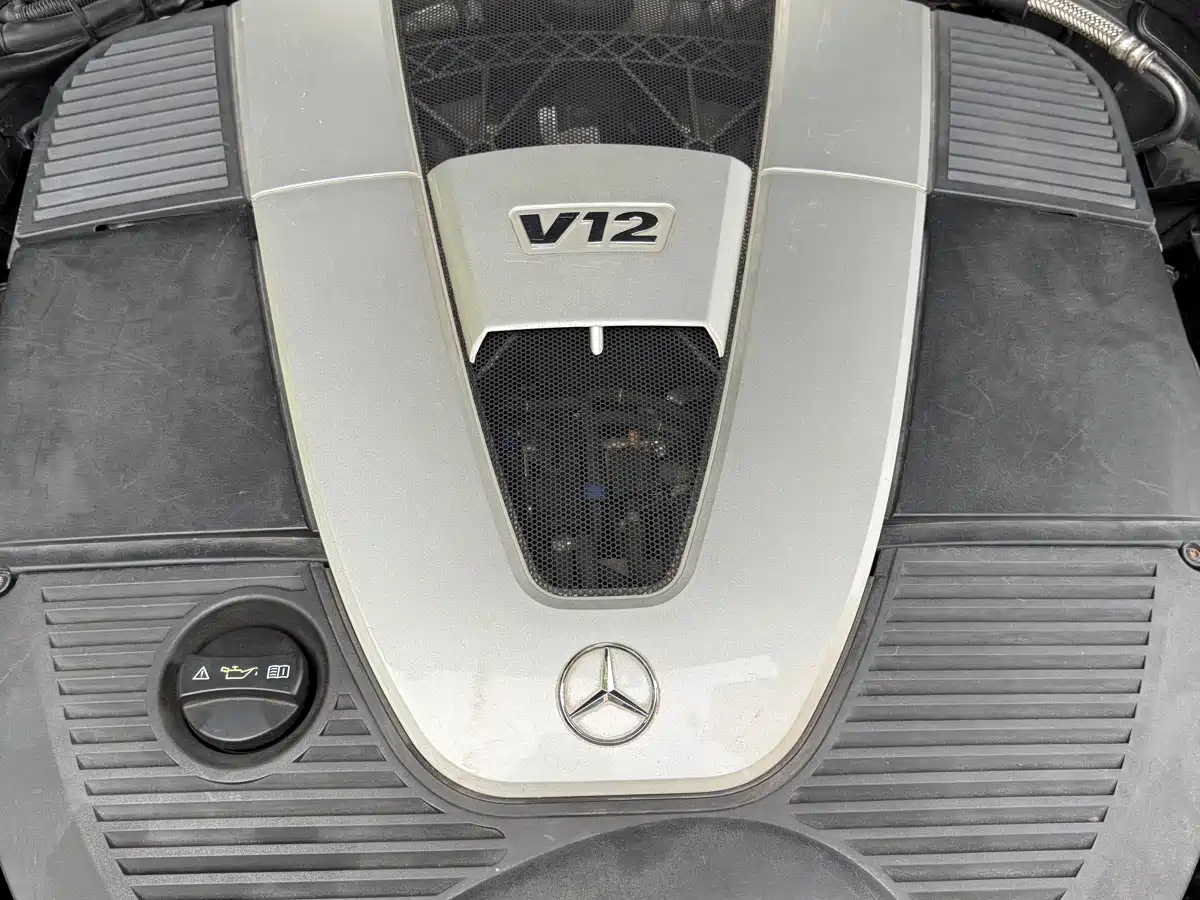 Mercedes-Benz S-Class 2014 S 600 L фото 11