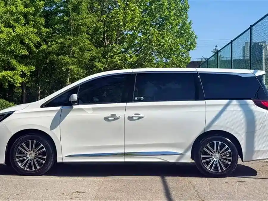 GAC Trumpchi Trumpchi M8 2023 Leading Series 390T Prestige Edition фото 8