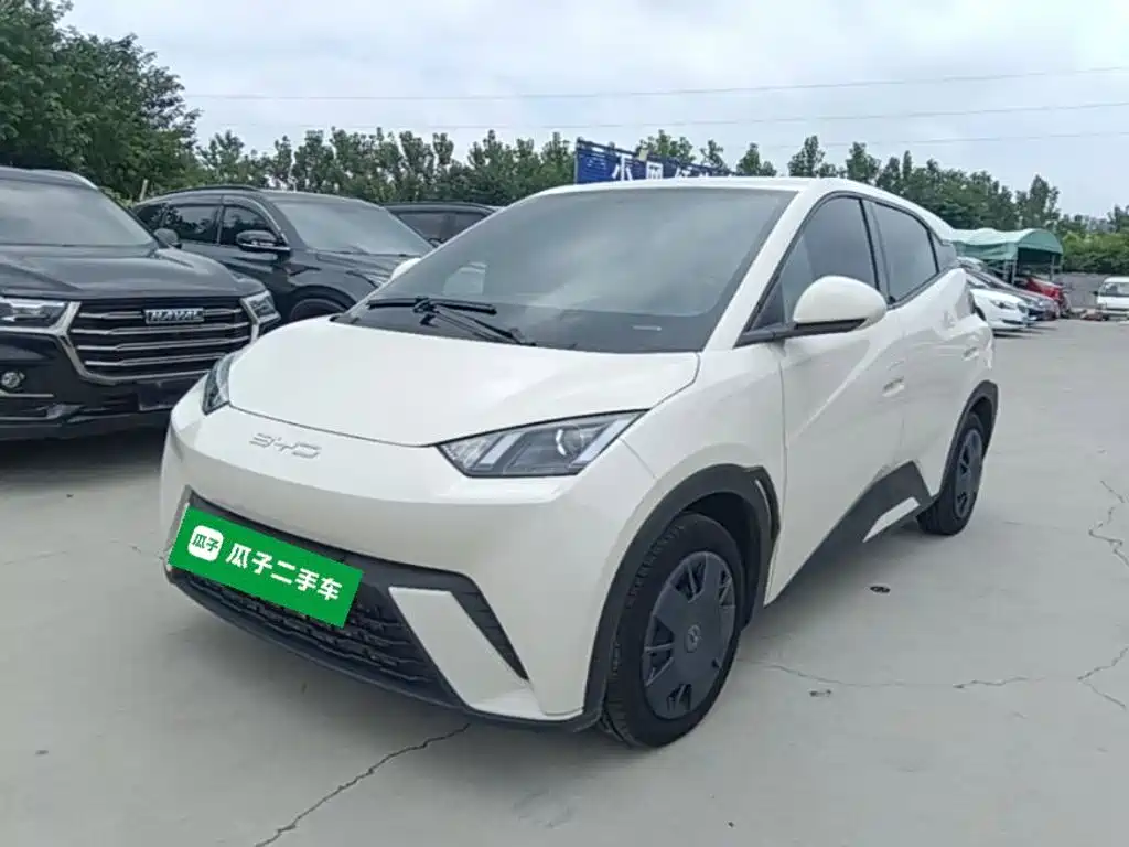 BYD Seagull 2024 Glory Edition 305km Vitality Edition